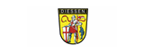 dteCompanyLogo